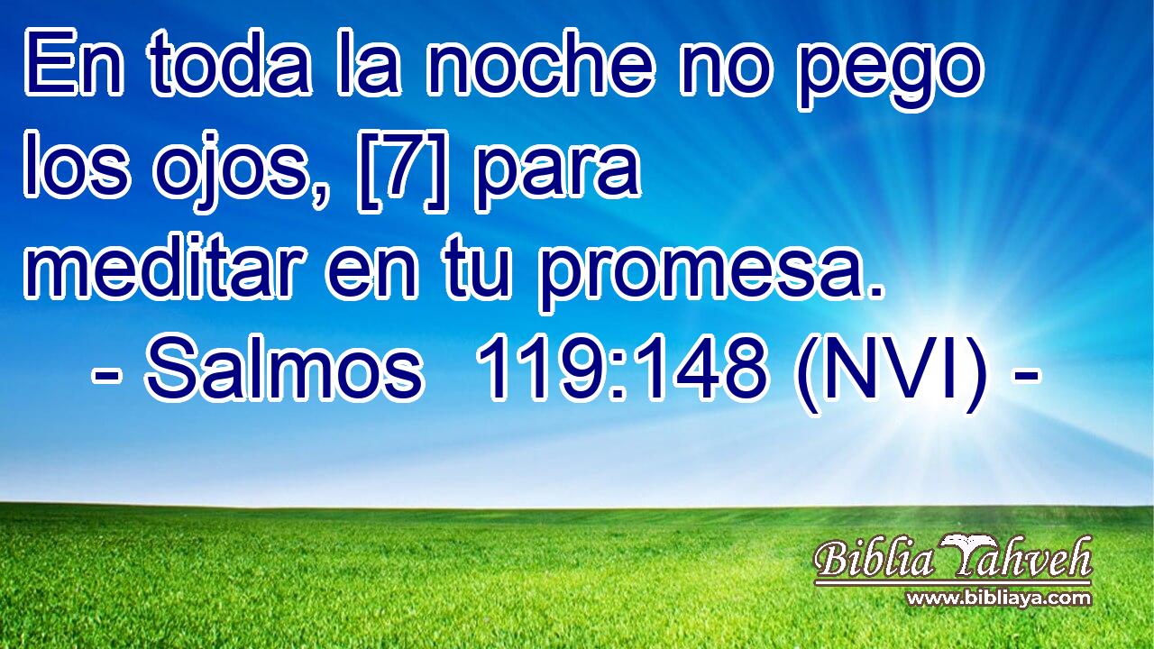  En toda la noche no pego los ojos, [7] para meditar en tu promesa. 