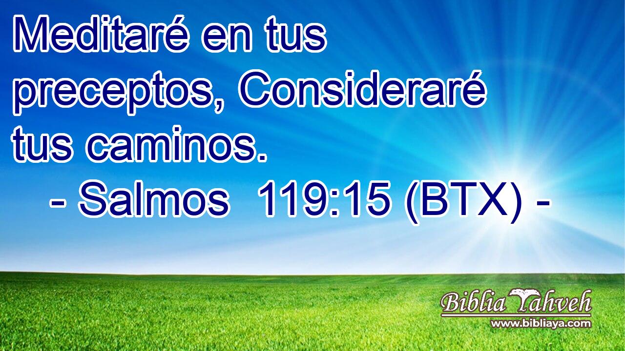 Meditaré en tus preceptos, Consideraré tus caminos.