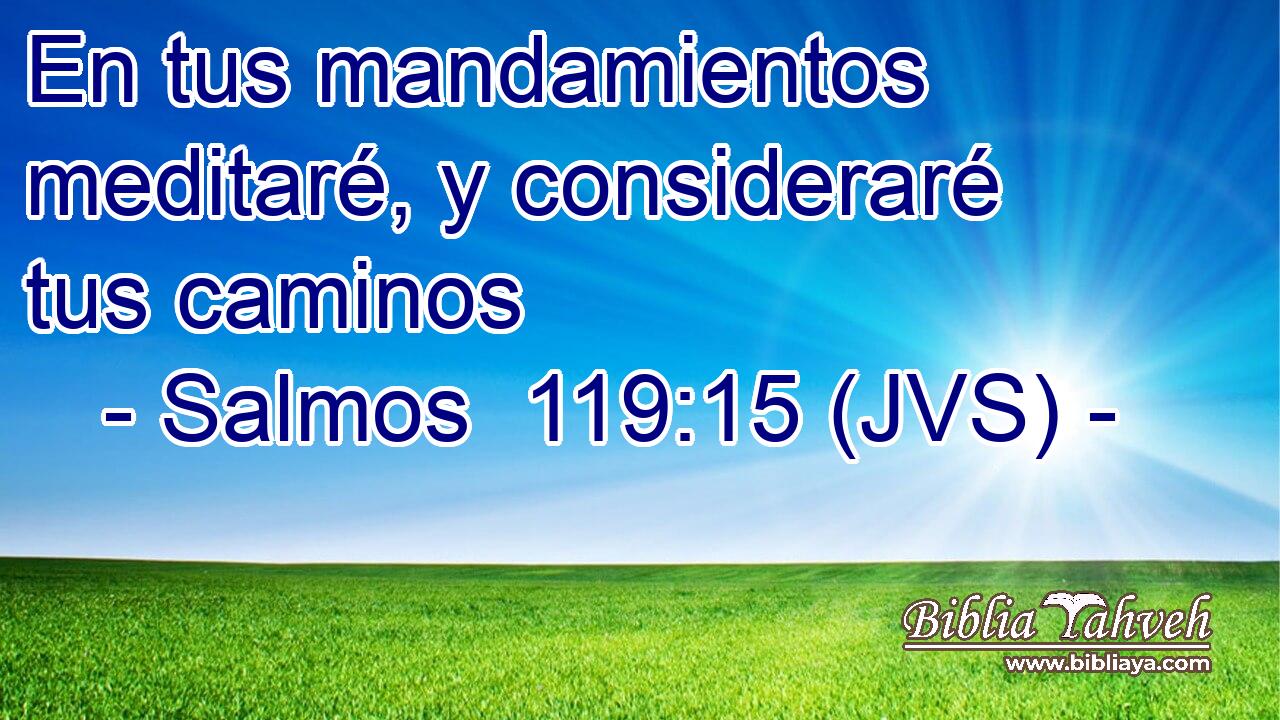 En tus mandamientos meditaré, y consideraré tus caminos