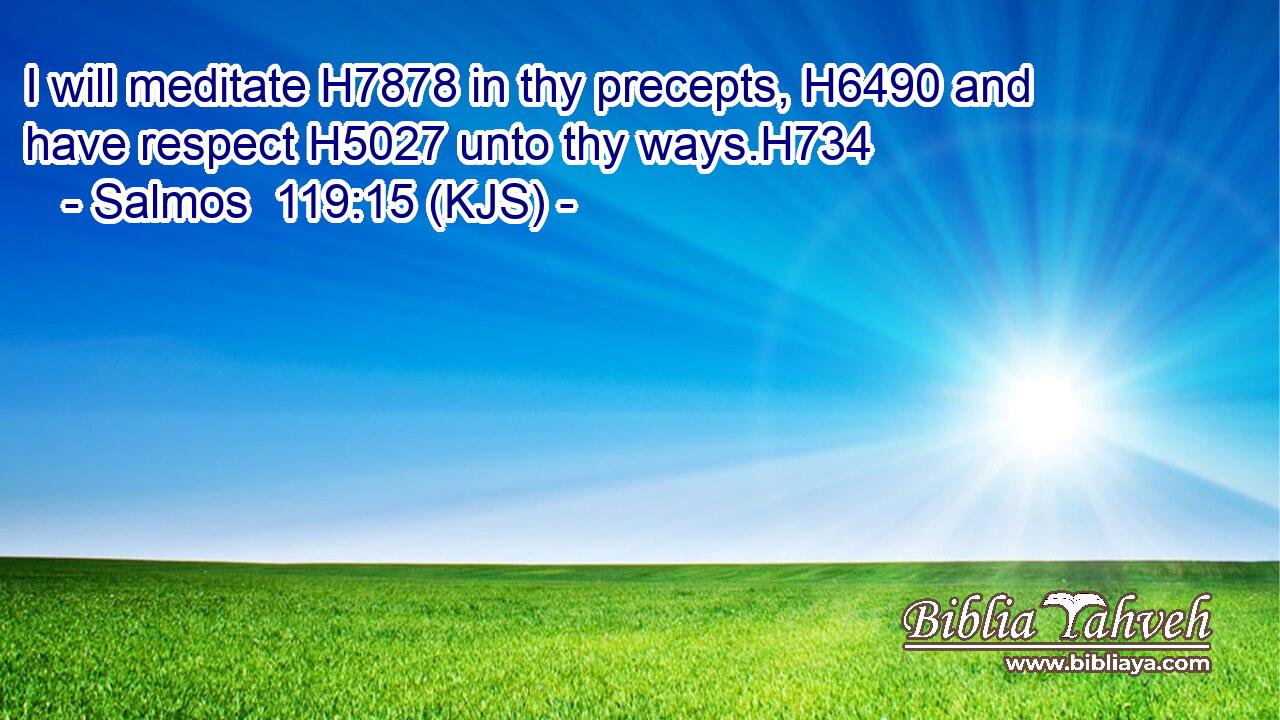 I will meditate H7878 in thy precepts, H6490 and have respect H5027 unto thy ways.H734