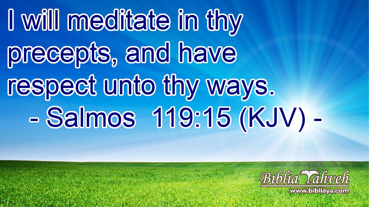 I will meditate in thy precepts, and have respect unto thy ways.