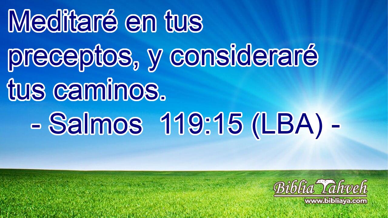 Meditaré en tus preceptos, y consideraré tus caminos.
