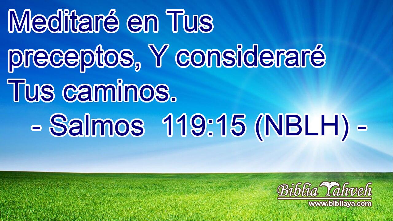  Meditaré en Tus preceptos, Y consideraré Tus caminos. 