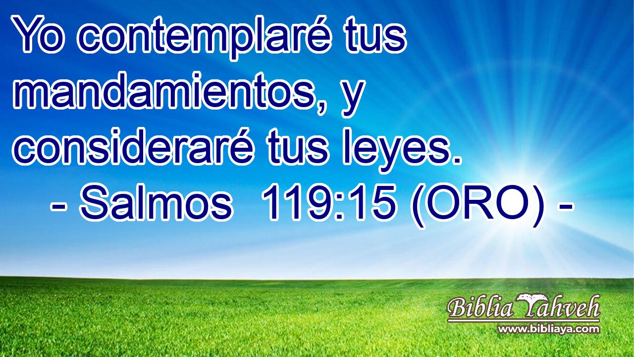  Yo contemplaré tus mandamientos, y consideraré tus leyes. 