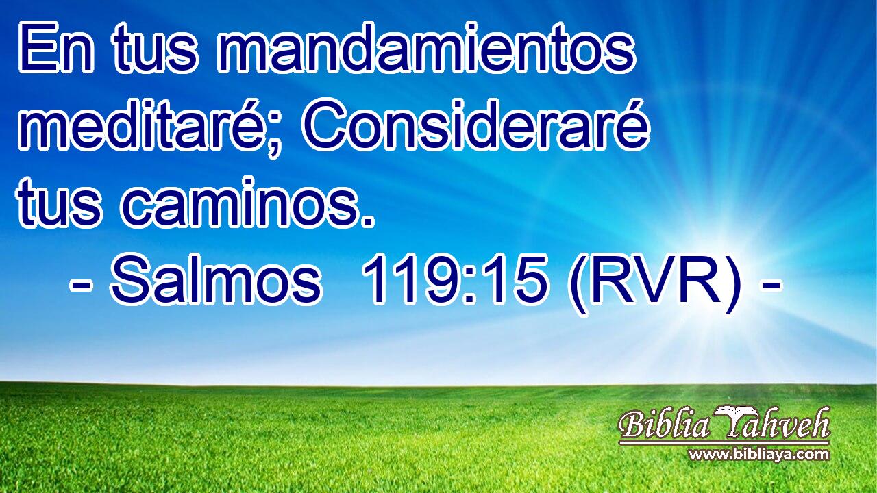 En tus mandamientos meditaré; Consideraré tus caminos.