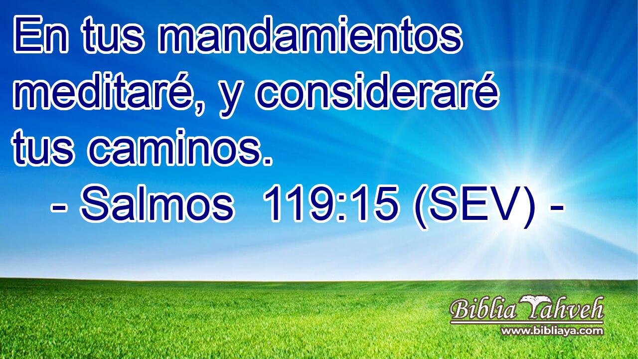 En tus mandamientos meditaré, y consideraré tus caminos.