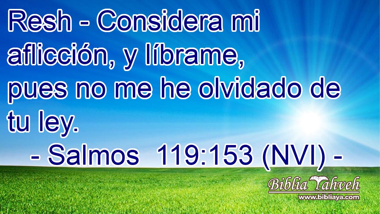 Resh - Considera mi aflicción, y líbrame, pues no me he olvidado de tu ley. 