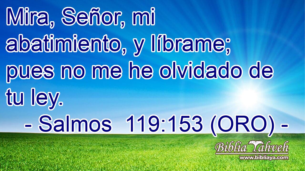  Mira, Señor, mi abatimiento, y líbrame; pues no me he olvidado de tu ley. 