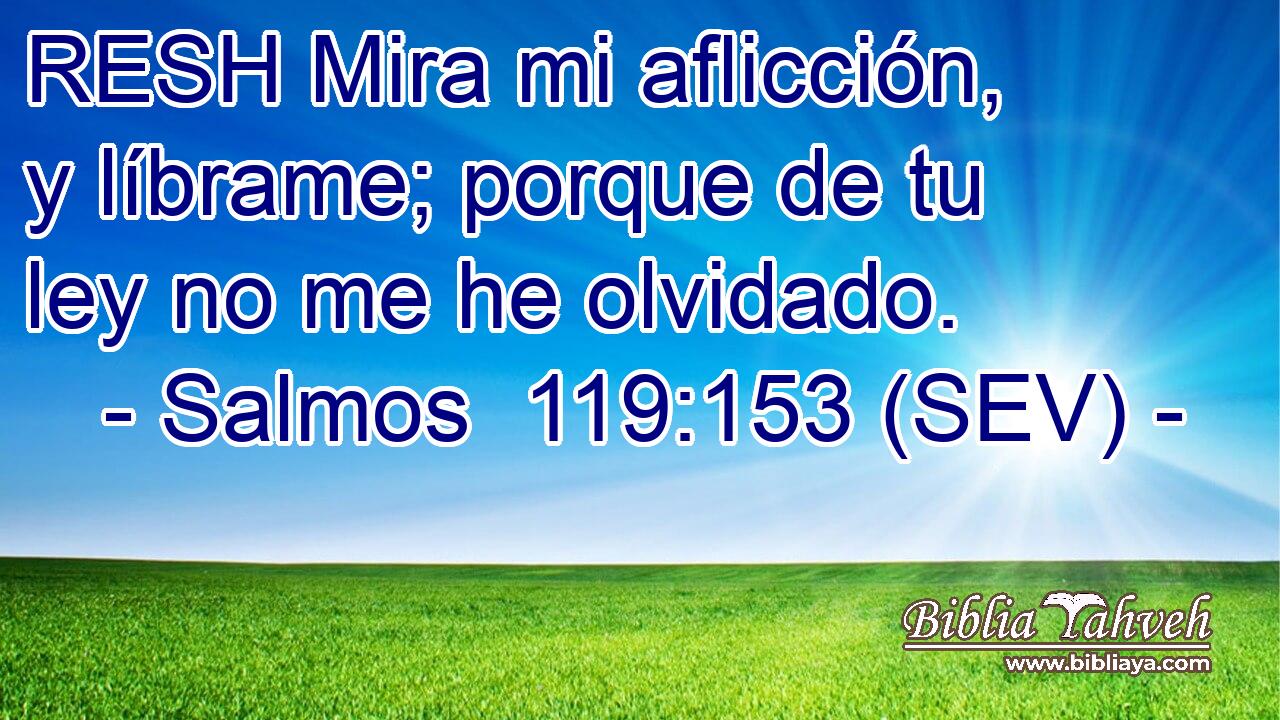 RESH Mira mi aflicción, y líbrame; porque de tu ley no me he olvidado.