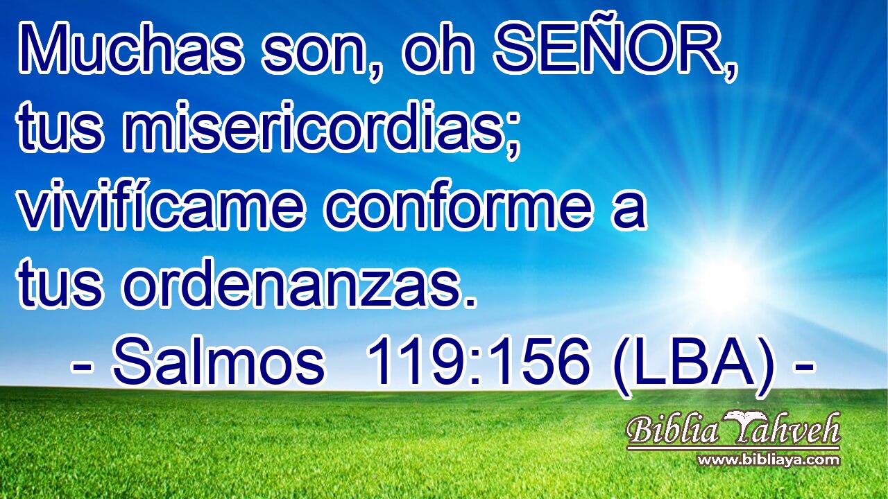 Muchas son, oh SEÑOR, tus misericordias; vivifícame conforme a tus ordenanzas.