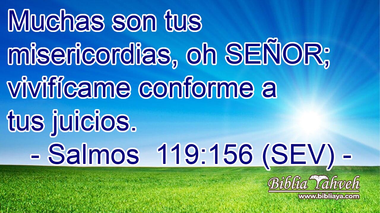Muchas son tus misericordias, oh SEÑOR; vivifícame conforme a tus juicios.