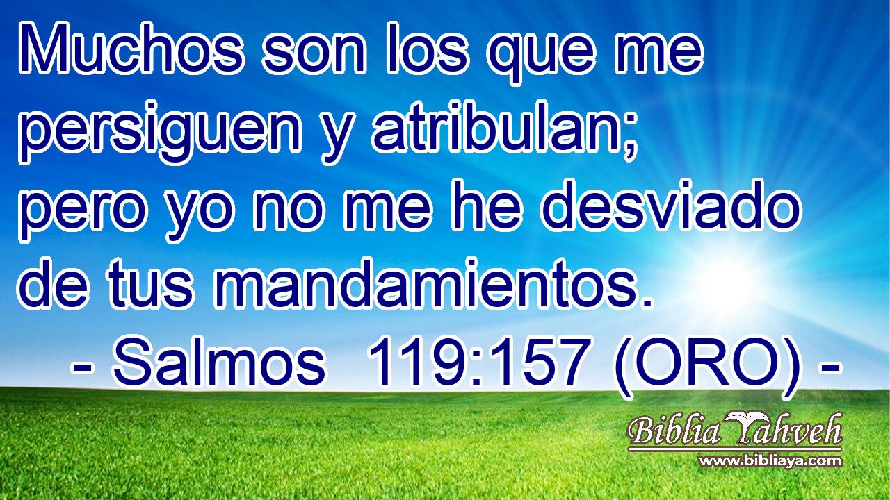  Muchos son los que me persiguen y atribulan; pero yo no me he desviado de tus mandamientos. 