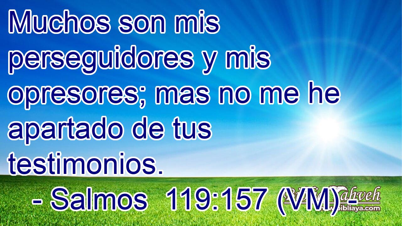  Muchos son mis perseguidores y mis opresores; mas no me he apartado de tus testimonios. 
