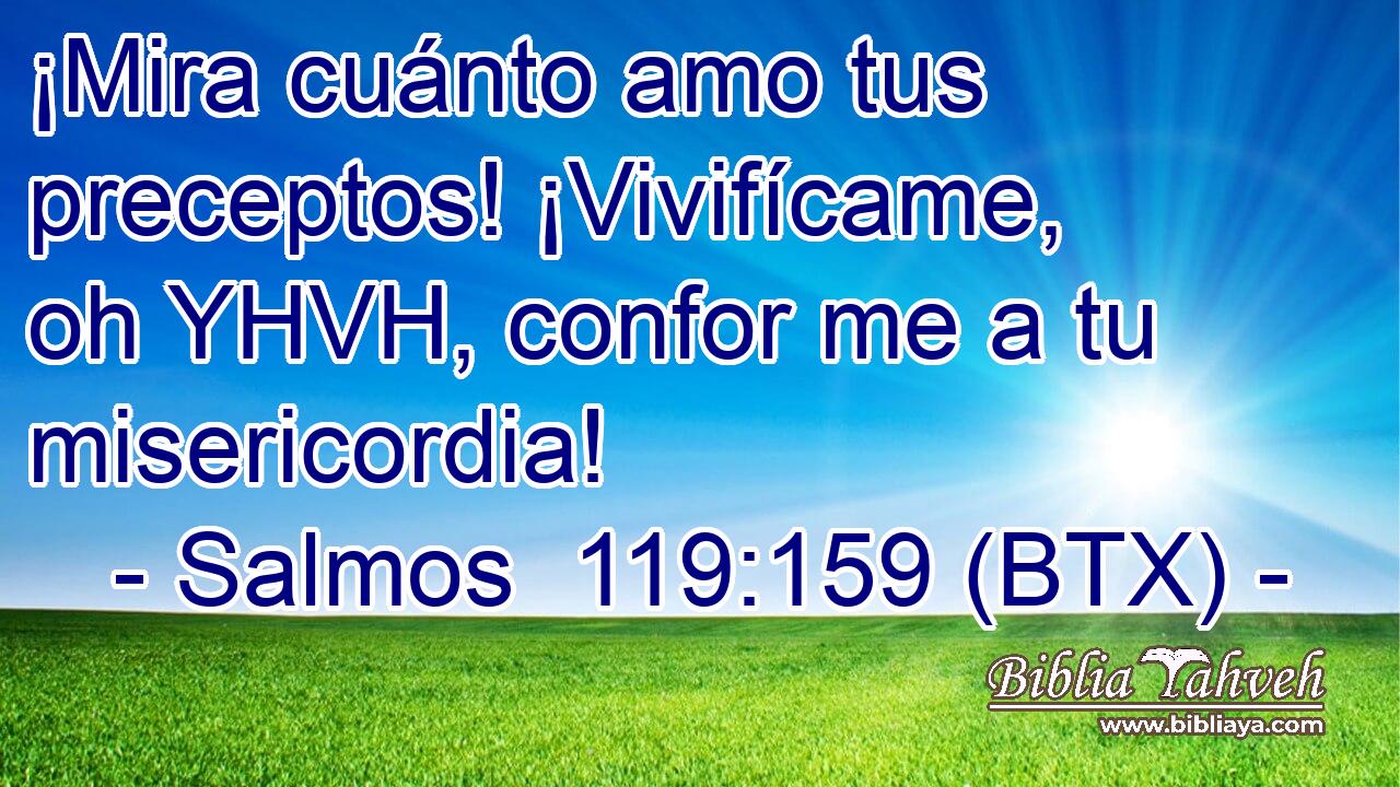 ¡Mira cuánto amo tus preceptos! ¡Vivifícame, oh YHVH, confor me a tu misericordia!