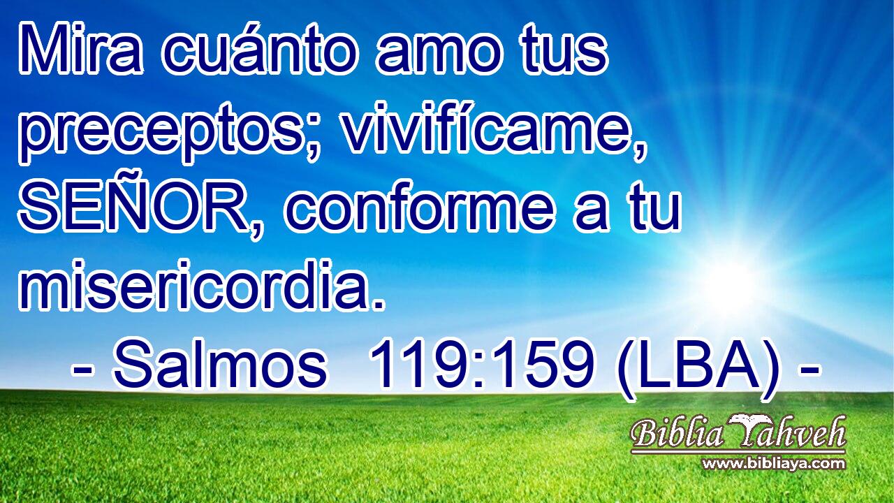 Mira cuánto amo tus preceptos; vivifícame, SEÑOR, conforme a tu misericordia.