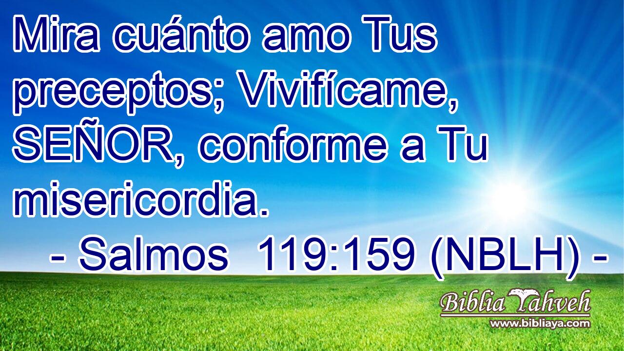  Mira cuánto amo Tus preceptos; Vivifícame, SEÑOR, conforme a Tu misericordia. 