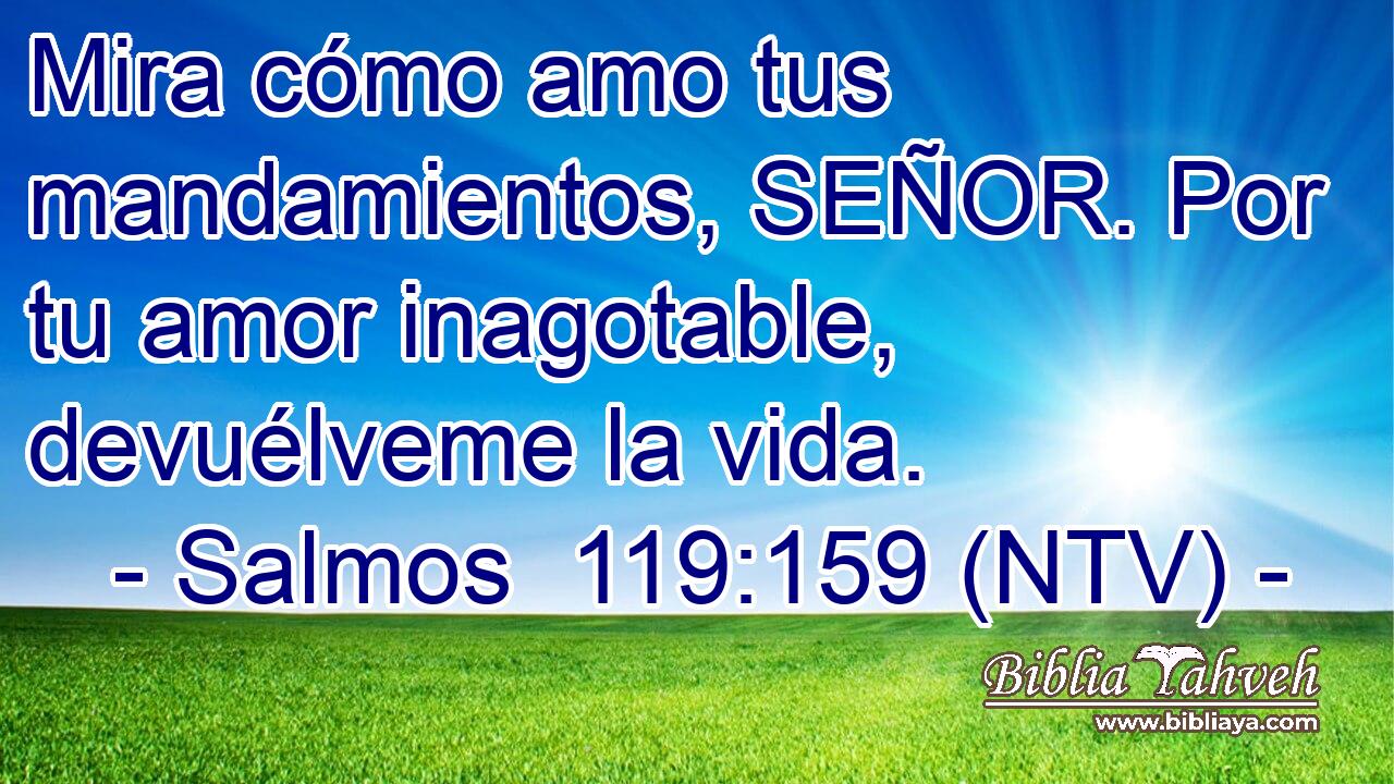 Mira cómo amo tus mandamientos, SEÑOR. Por tu amor inagotable, devuélveme la vida.