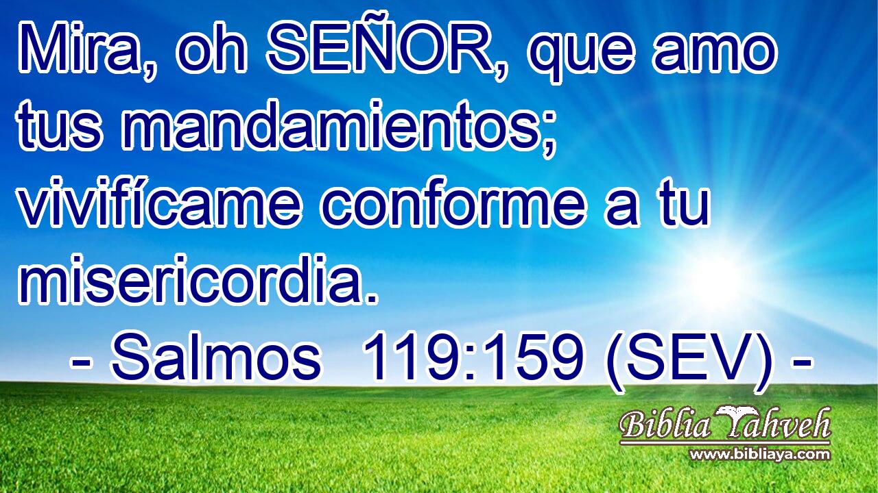 Mira, oh SEÑOR, que amo tus mandamientos; vivifícame conforme a tu misericordia.