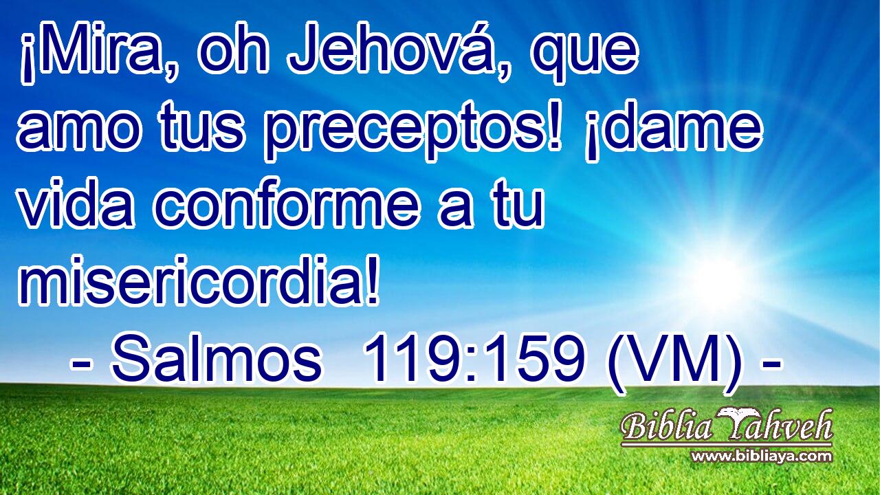  ¡Mira, oh Jehová, que amo tus preceptos! ¡dame vida conforme a tu misericordia! 