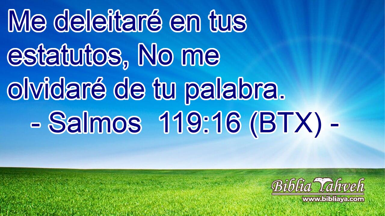 Me deleitaré en tus estatutos, No me olvidaré de tu palabra.