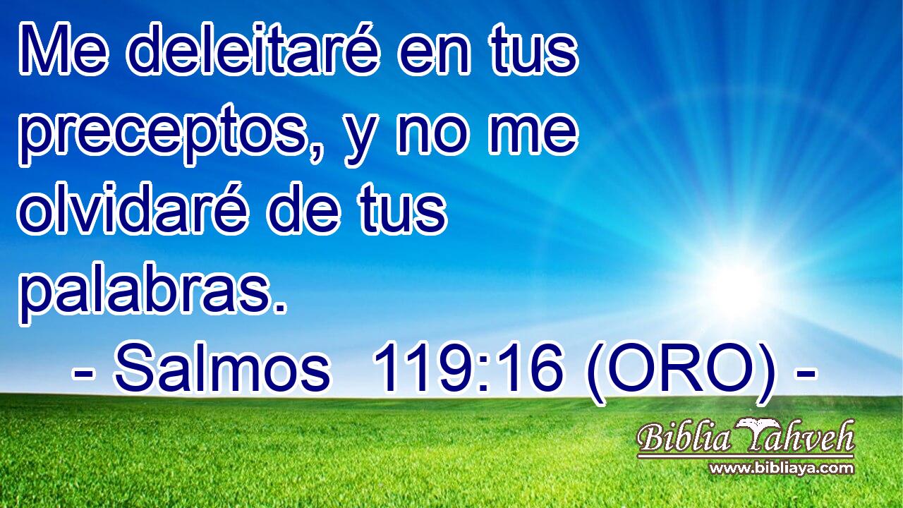  Me deleitaré en tus preceptos, y no me olvidaré de tus palabras. 