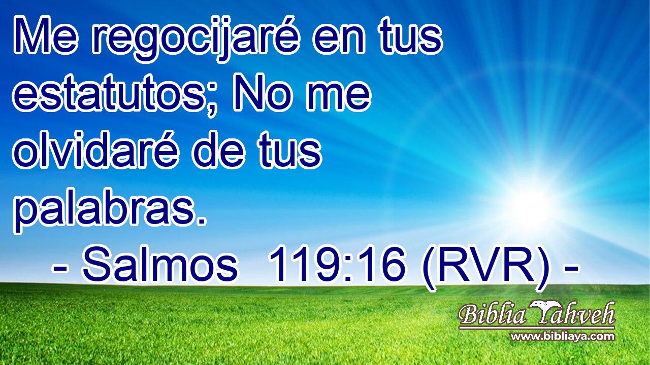 Me regocijaré en tus estatutos; No me olvidaré de tus palabras.