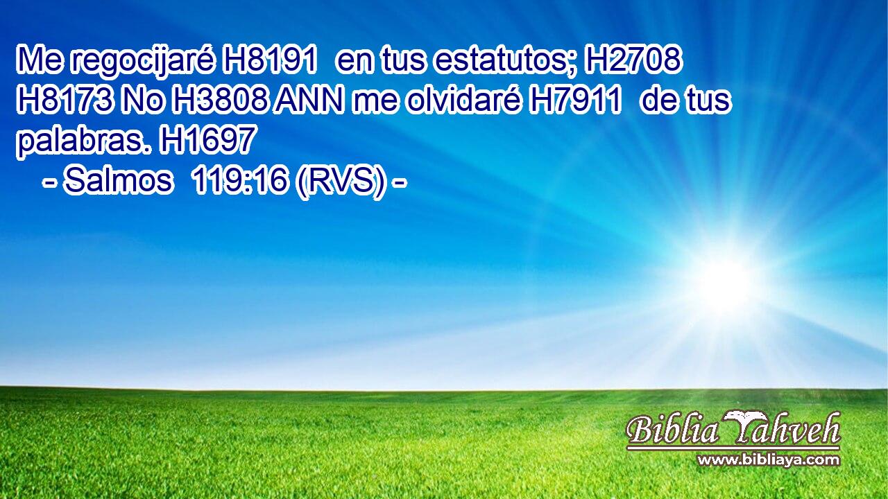 Me regocijaré H8191  en tus estatutos; H2708  H8173 No H3808 ANN me olvidaré H7911  de tus palabras. H1697  