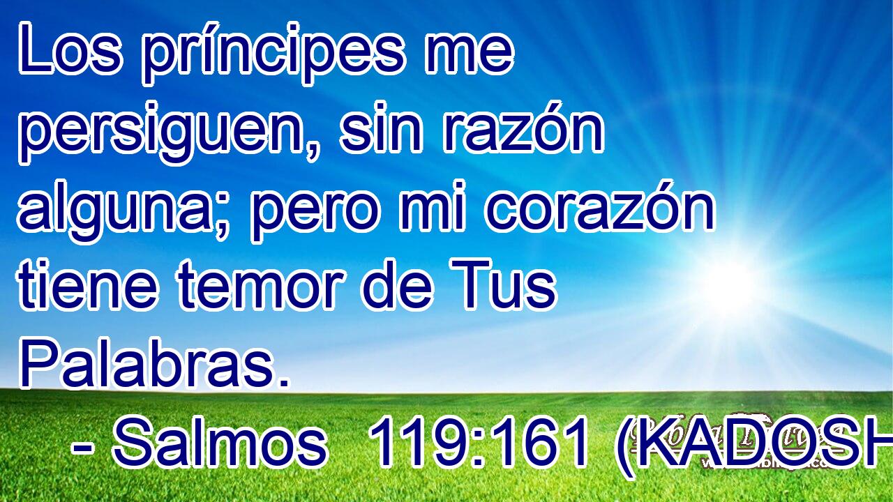  Los príncipes me persiguen, sin razón alguna; pero mi corazón tiene temor de Tus Palabras. 