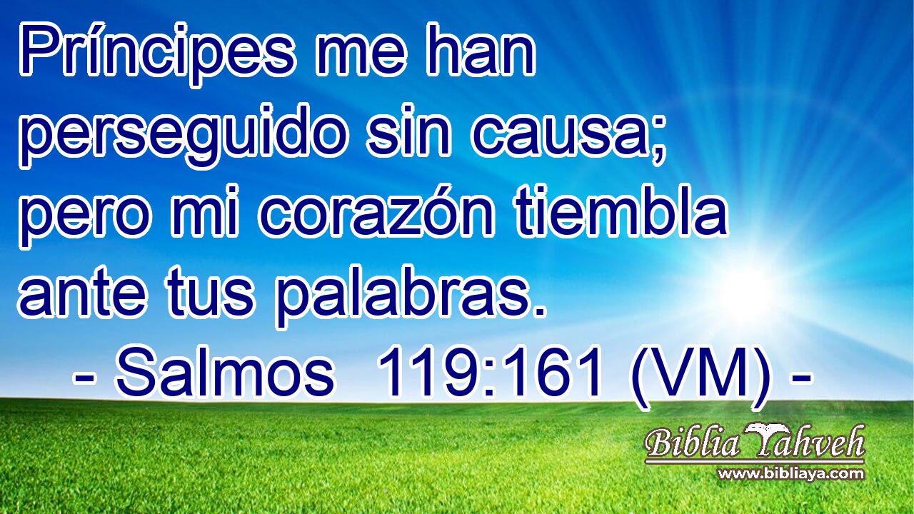  Príncipes me han perseguido sin causa; pero mi corazón tiembla ante tus palabras. 