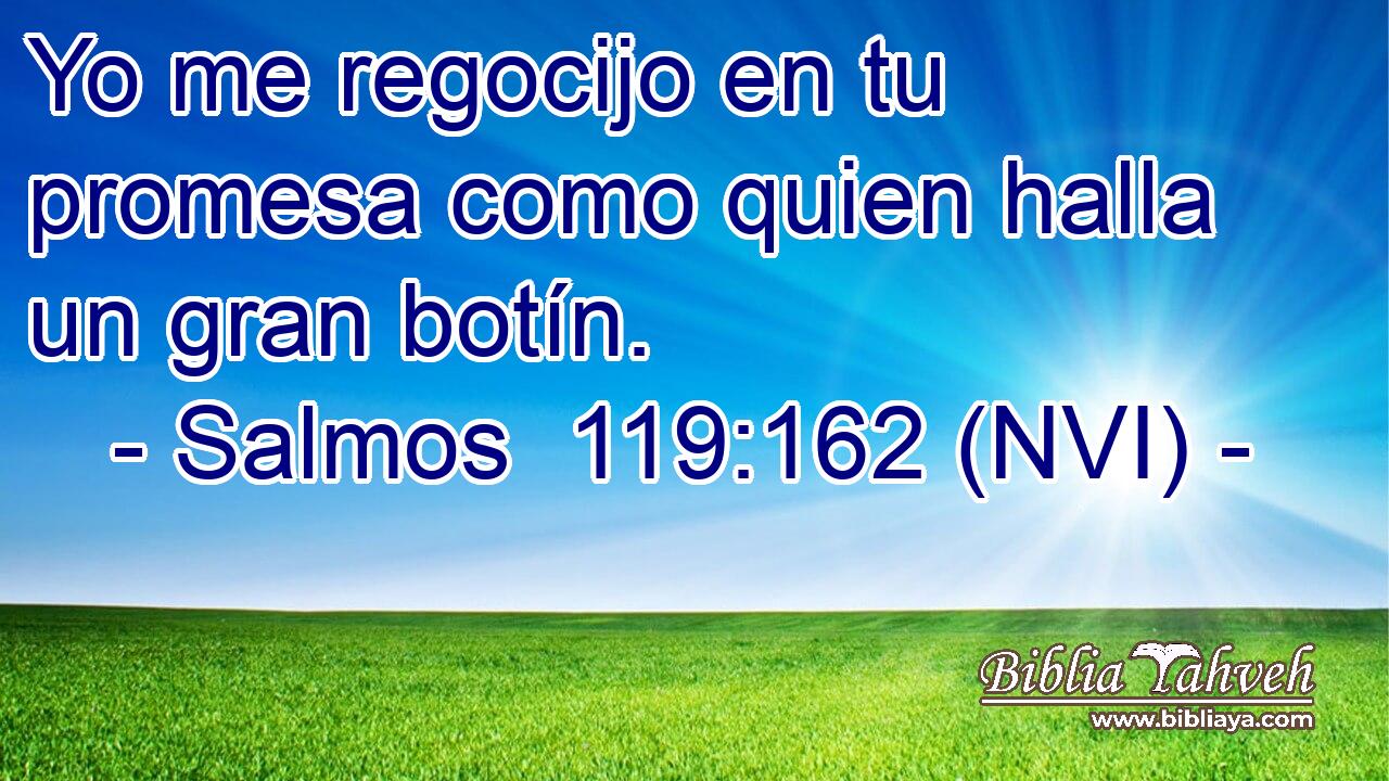  Yo me regocijo en tu promesa como quien halla un gran botín. 