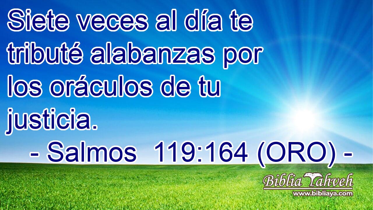  Siete veces al día te tributé alabanzas por los oráculos de tu justicia. 