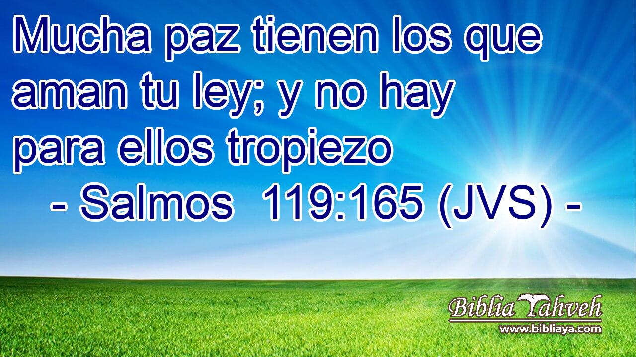Mucha paz tienen los que aman tu ley; y no hay para ellos tropiezo