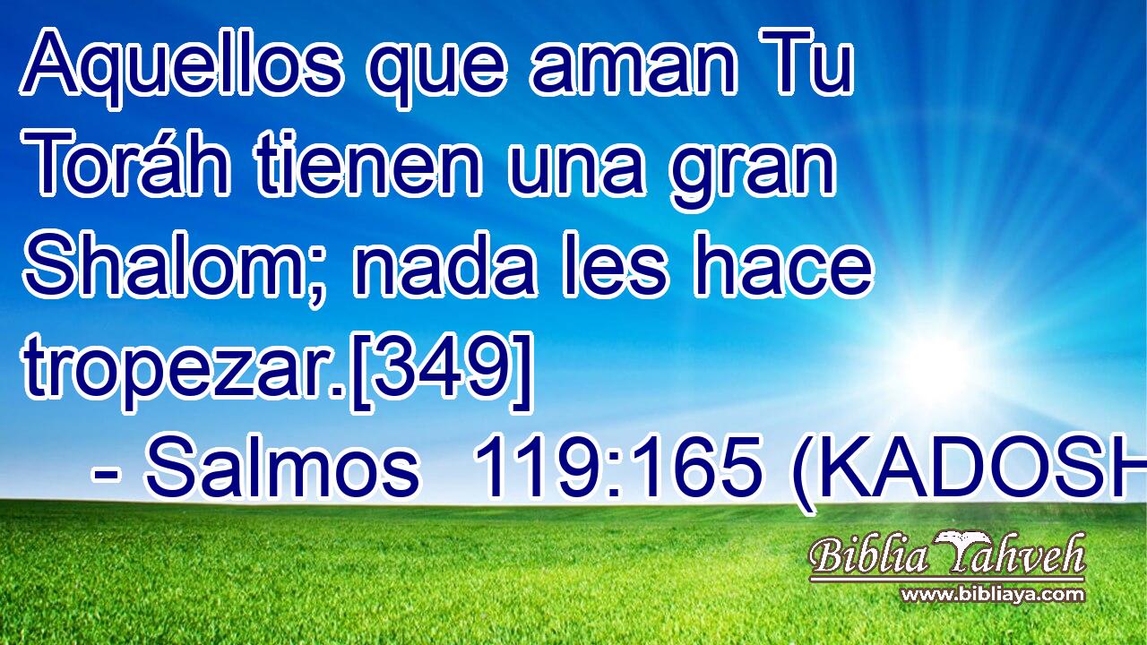  Aquellos que aman Tu Toráh tienen una gran Shalom; nada les hace tropezar.[349] 
