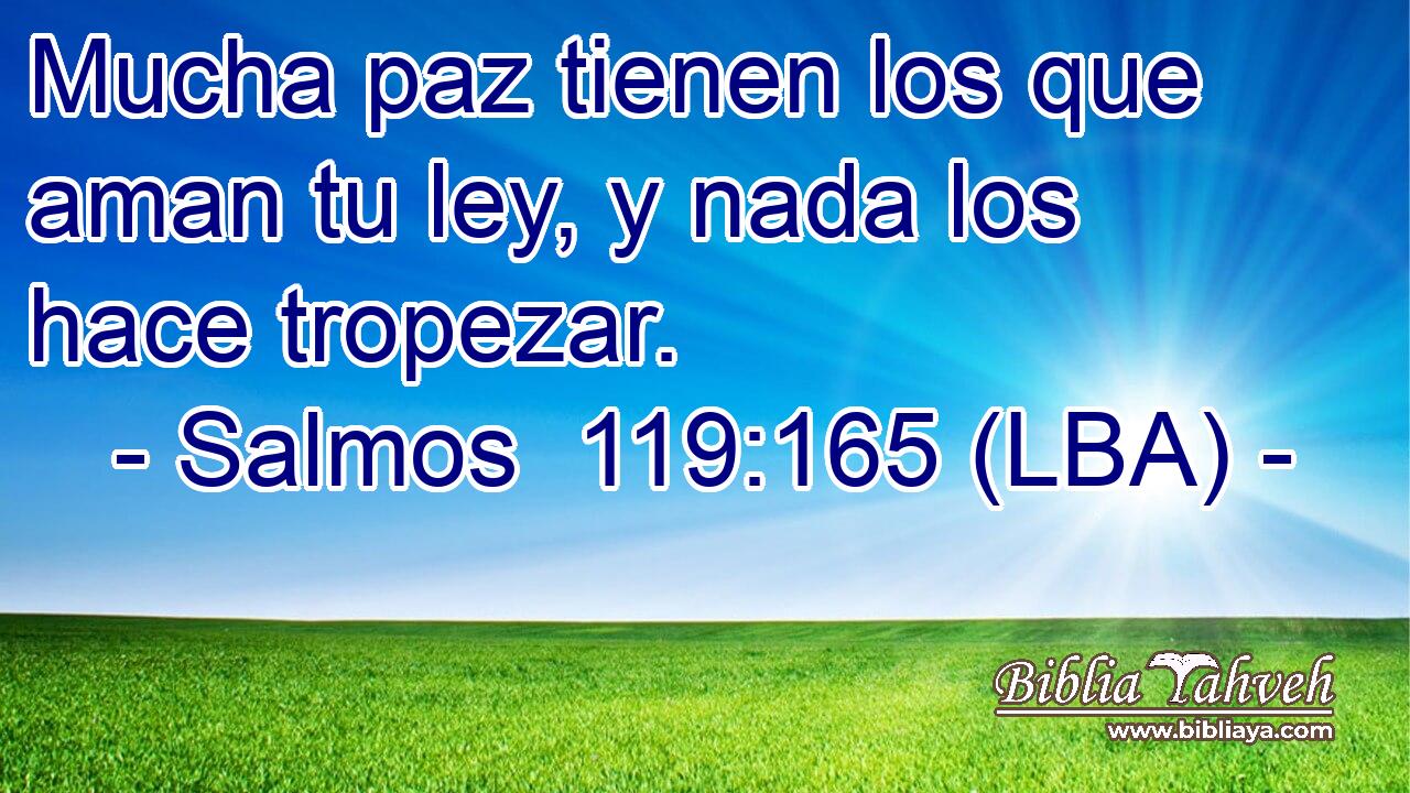 Mucha paz tienen los que aman tu ley, y nada los hace tropezar.