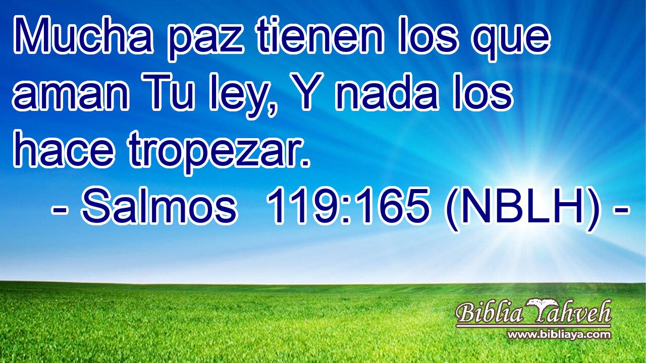  Mucha paz tienen los que aman Tu ley, Y nada los hace tropezar. 