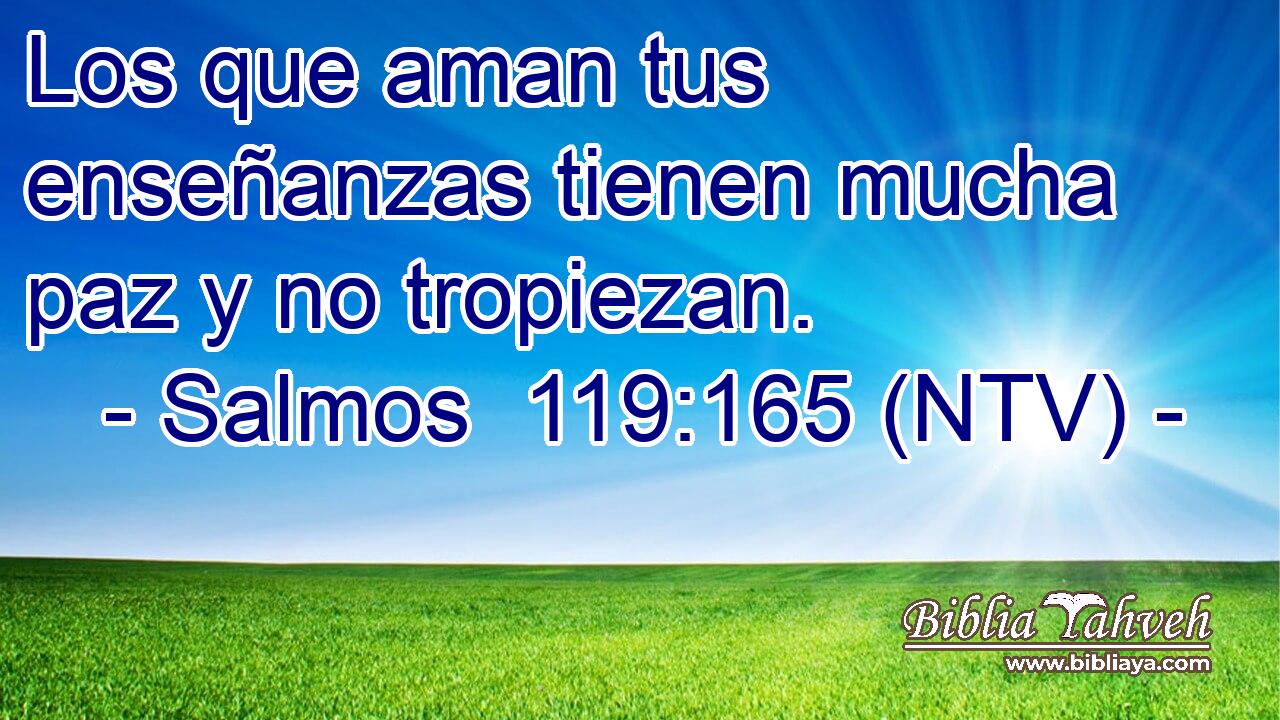 Los que aman tus enseñanzas tienen mucha paz y no tropiezan.