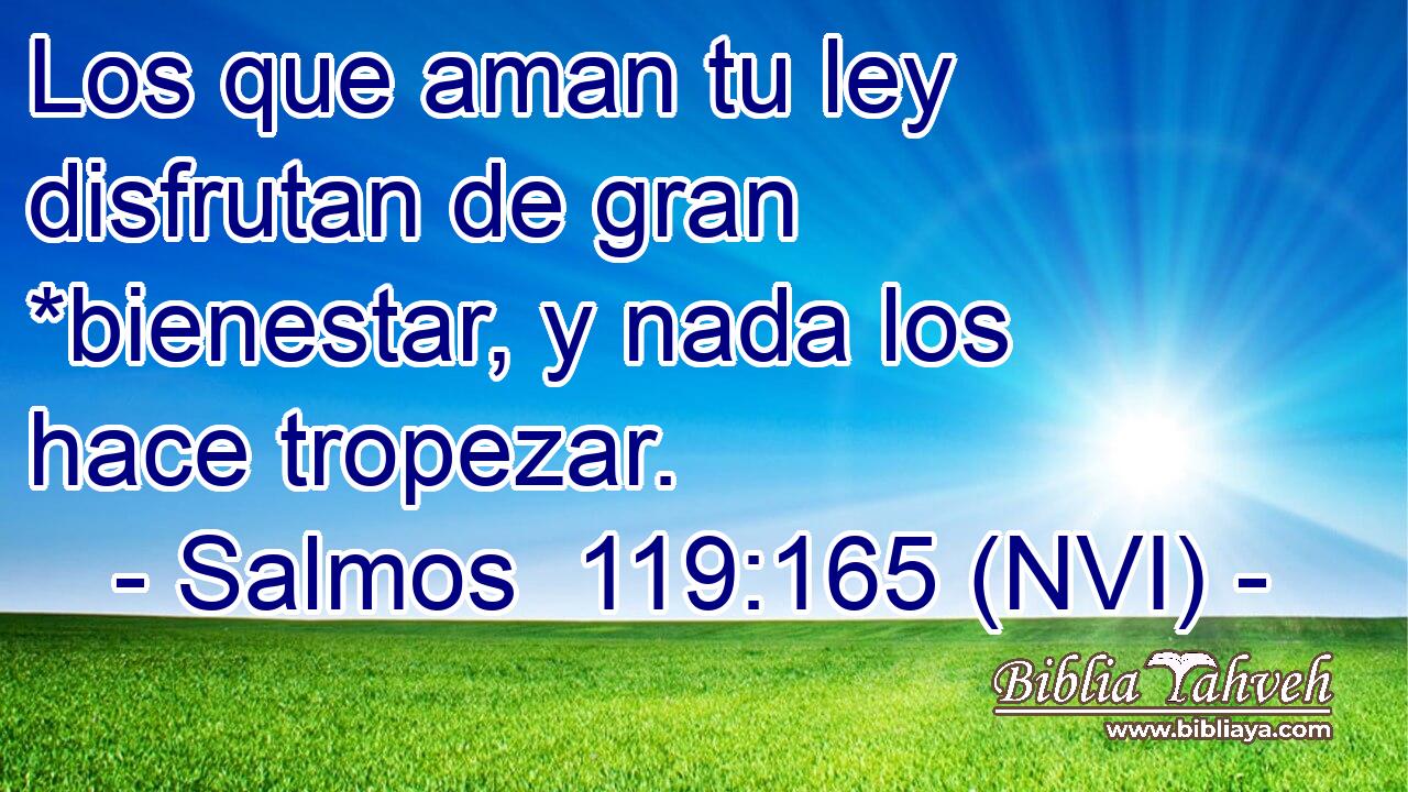 Salmos 119:165 (nvi) - Los Que Aman Tu Ley Disfrutan De Gran *bi...