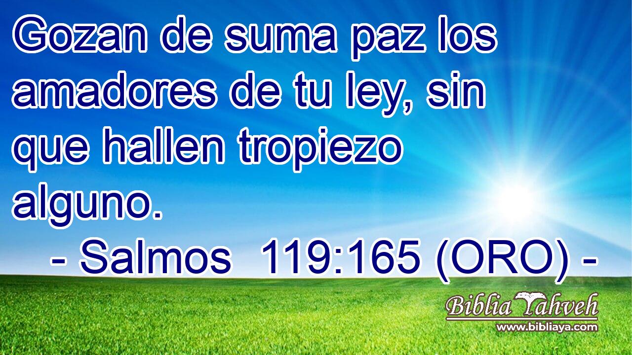  Gozan de suma paz los amadores de tu ley, sin que hallen tropiezo alguno. 