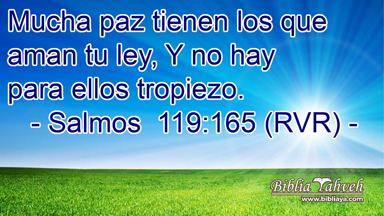 Mucha paz tienen los que aman tu ley, Y no hay para ellos tropiezo.
