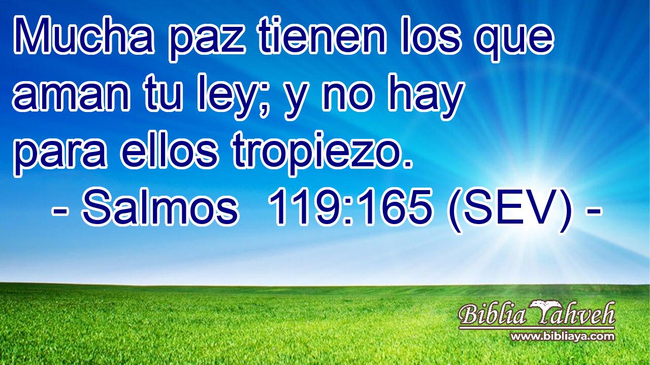 Mucha paz tienen los que aman tu ley; y no hay para ellos tropiezo.