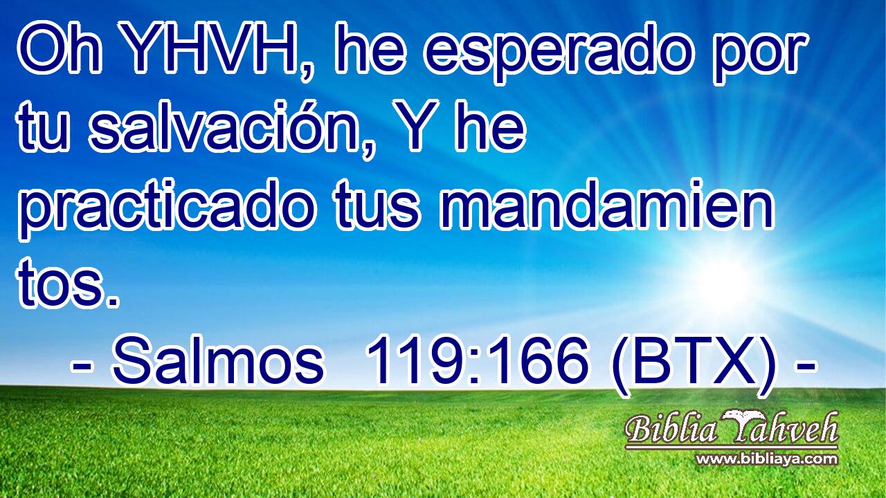 Oh YHVH, he esperado por tu salvación, Y he practicado tus mandamien tos.