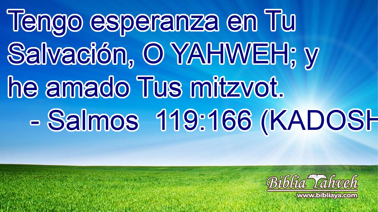  Tengo esperanza en Tu Salvación, O YAHWEH; y he amado Tus mitzvot. 