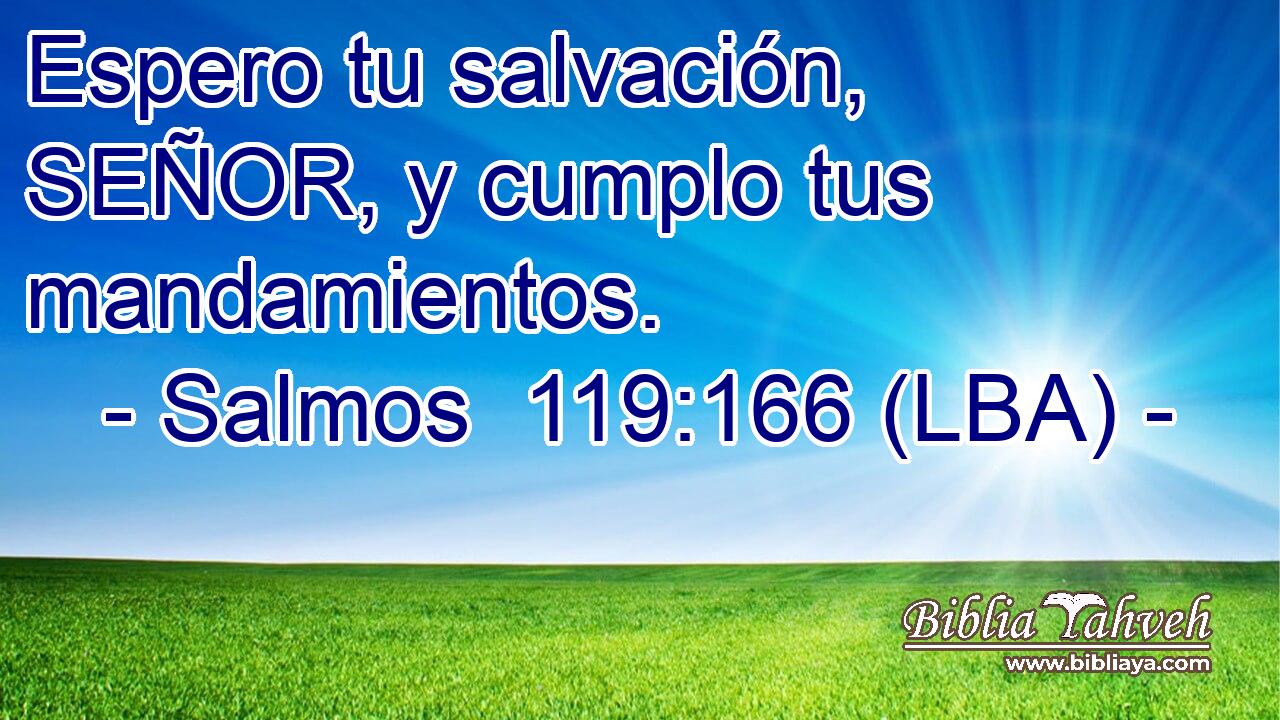 Espero tu salvación, SEÑOR, y cumplo tus mandamientos.
