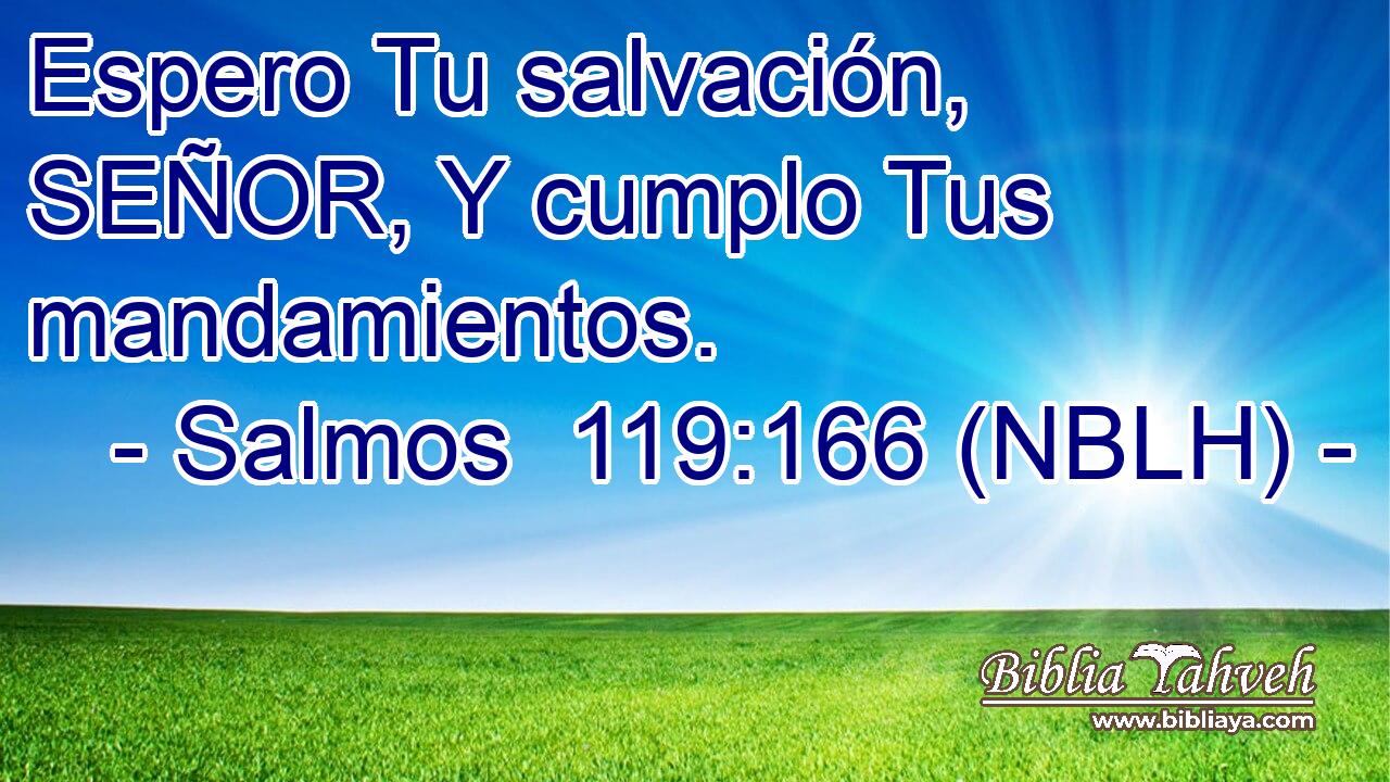  Espero Tu salvación, SEÑOR, Y cumplo Tus mandamientos. 