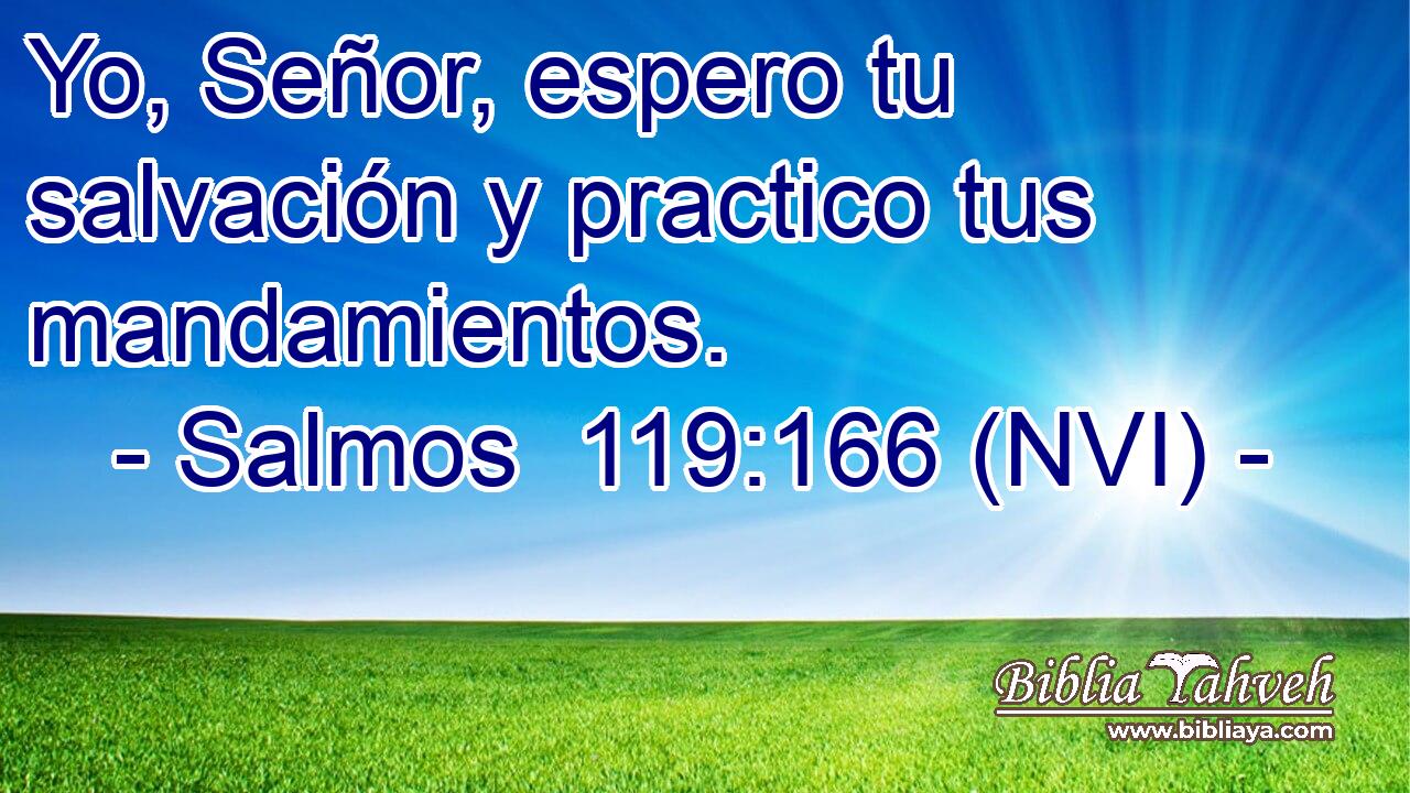  Yo, Señor, espero tu salvación y practico tus mandamientos. 