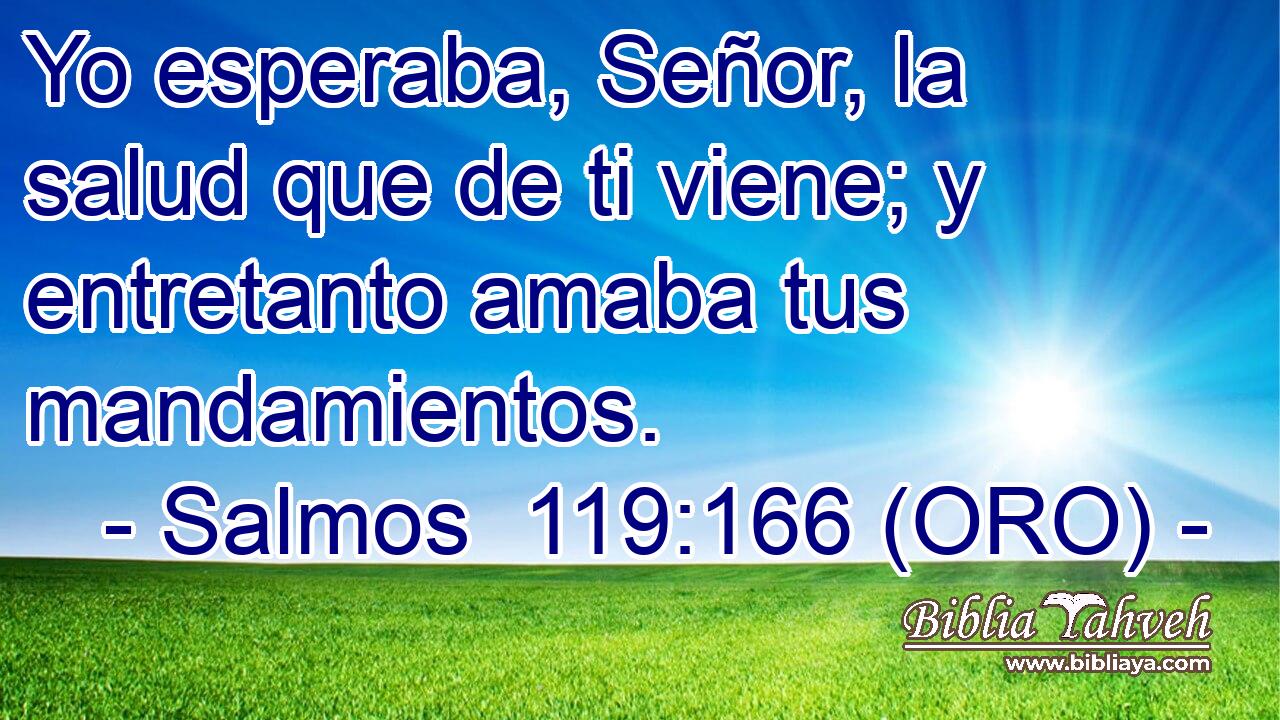  Yo esperaba, Señor, la salud que de ti viene; y entretanto amaba tus mandamientos. 
