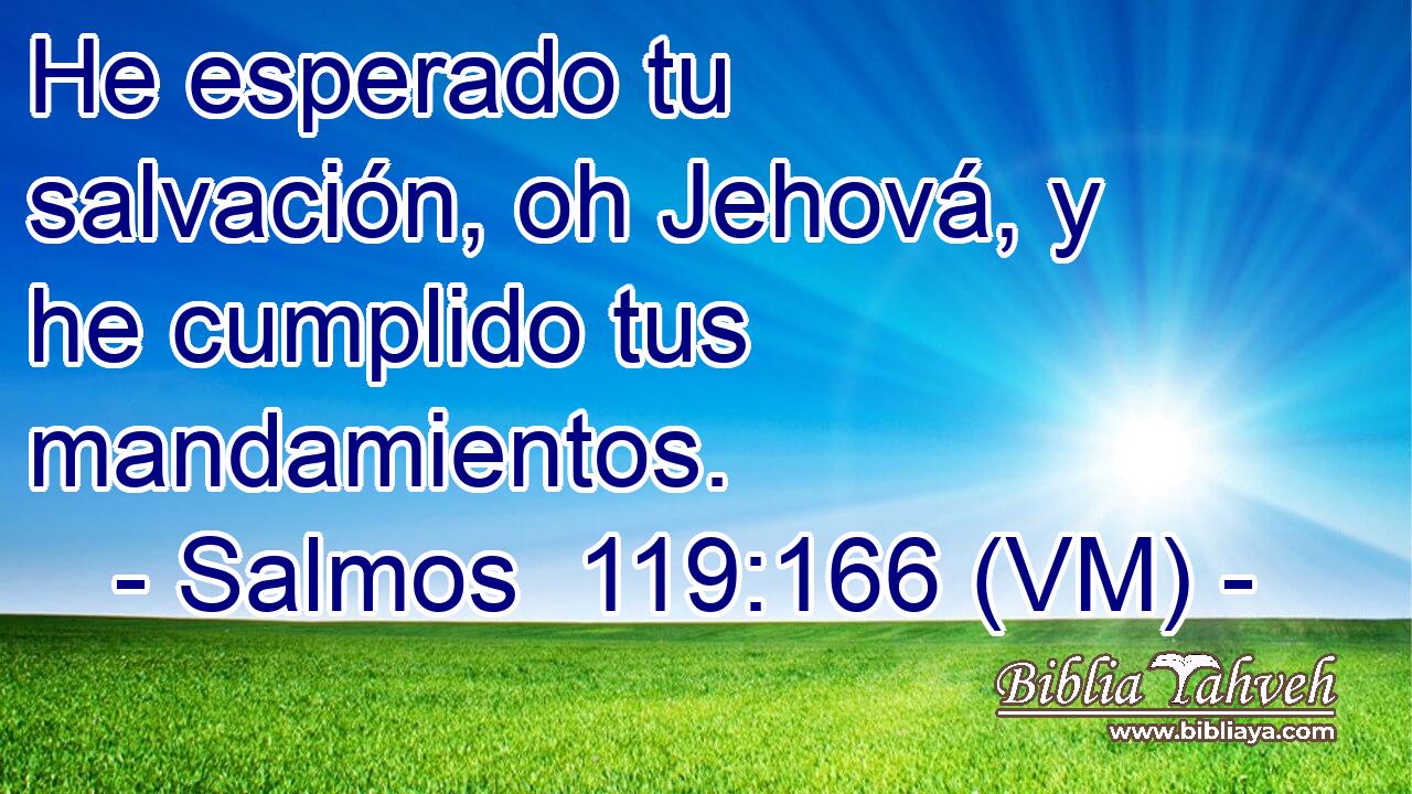  He esperado tu salvación, oh Jehová, y he cumplido tus mandamientos. 