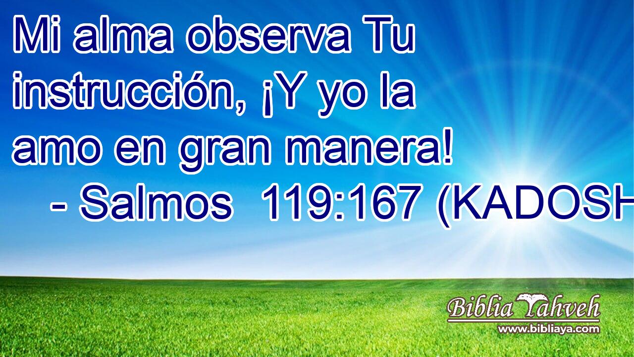  Mi alma observa Tu instrucción, ¡Y yo la amo en gran manera! 