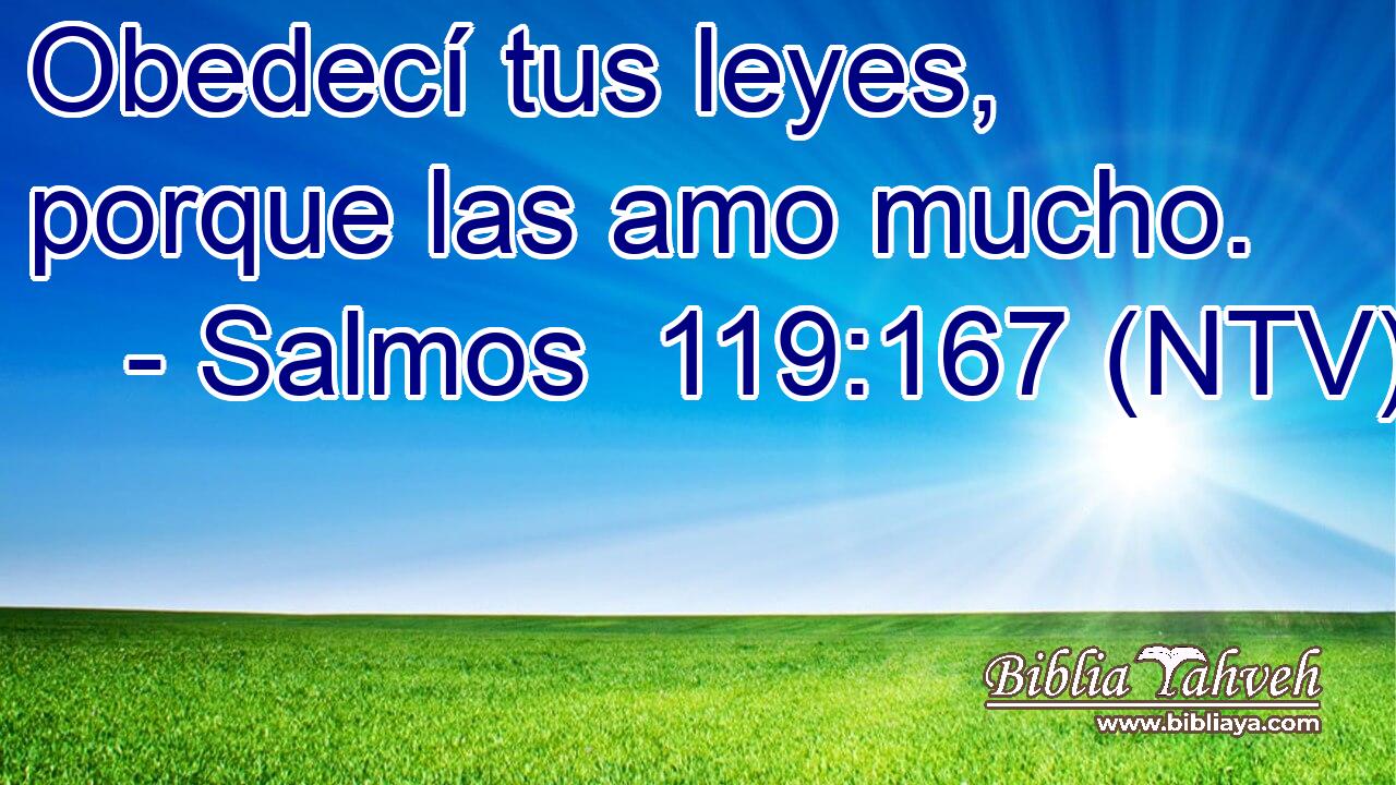Obedecí tus leyes, porque las amo mucho.