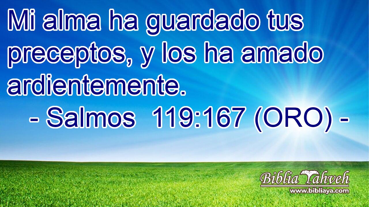  Mi alma ha guardado tus preceptos, y los ha amado ardientemente. 